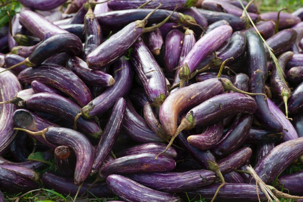 melanzane